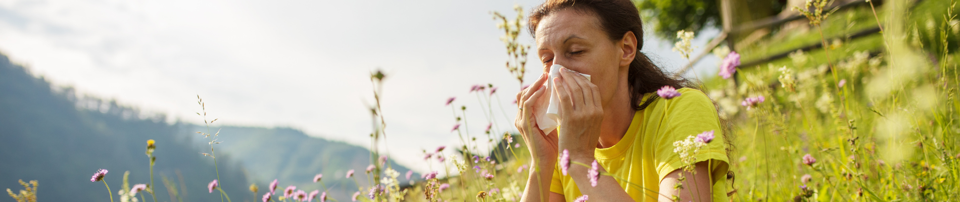 Pollenbelastung: Wie entsteht eine Pollenallergie und was kann ich dagegen tun?