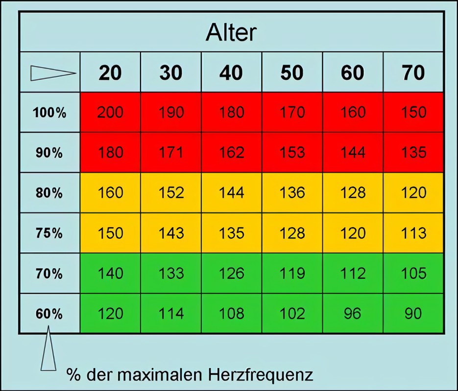 Maximale Herzfrequenz Tabelle